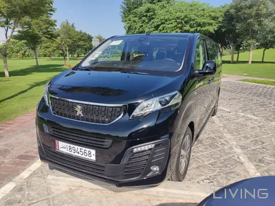 Peugeot 301  2023